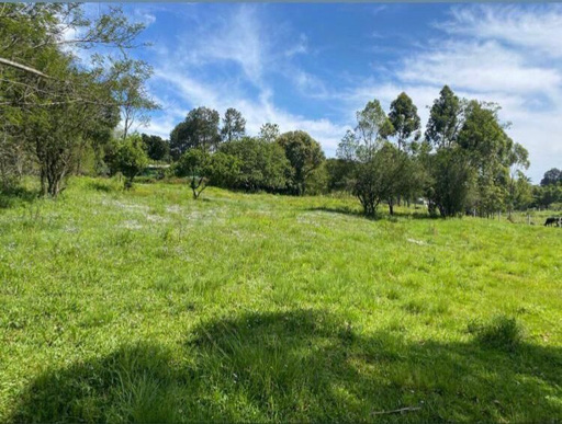 Foto cadastro cód. 46128