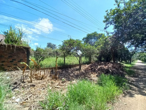 Foto cadastro cód. 46323