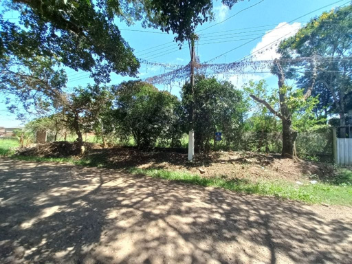 Foto cadastro cód. 46324