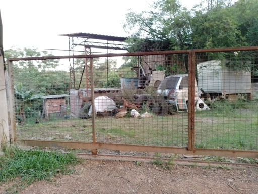 Foto cadastro cód. 47700