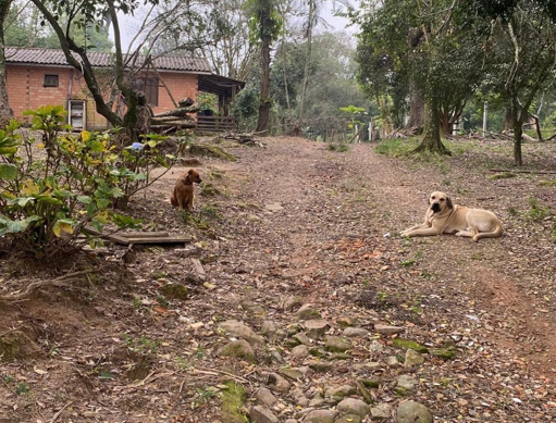 Foto cadastro cód. 47895