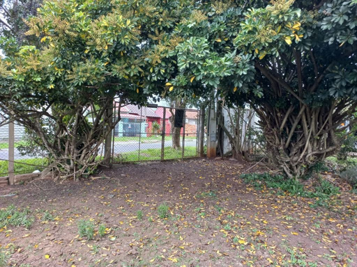 Foto cadastro cód. 48505