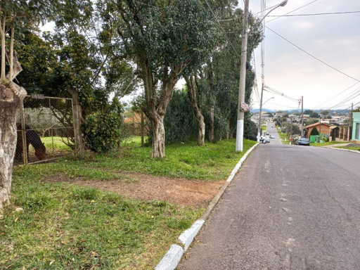 Foto cadastro cód. 48505