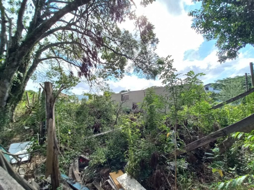 Foto cadastro cód. 48584