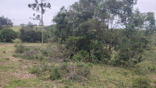 Foto cadastro cód. 49096