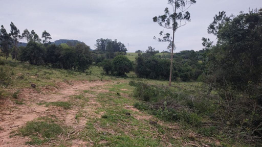 Foto cadastro cód. 49096