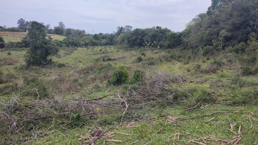 Foto cadastro cód. 49096