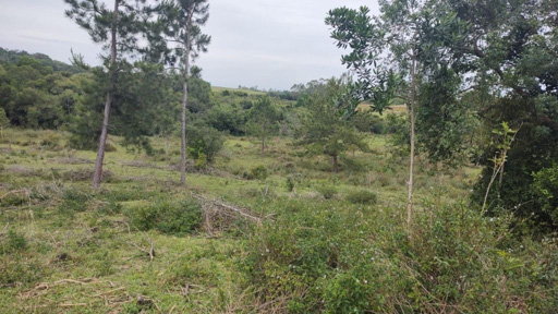 Foto cadastro cód. 49096