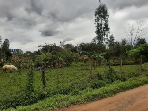 Foto cadastro cód. 49357