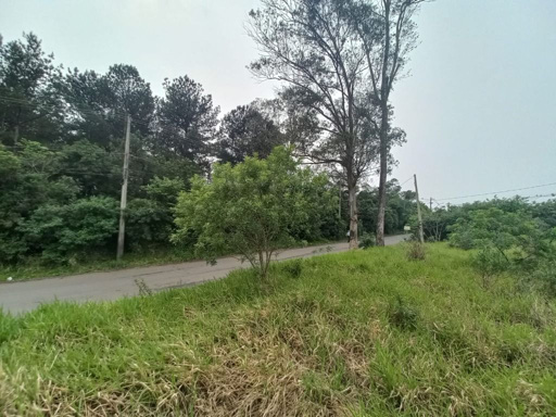 Foto cadastro cód. 49448