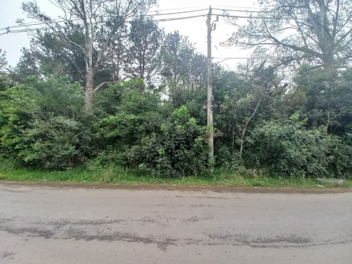 Foto cadastro cód. 49448