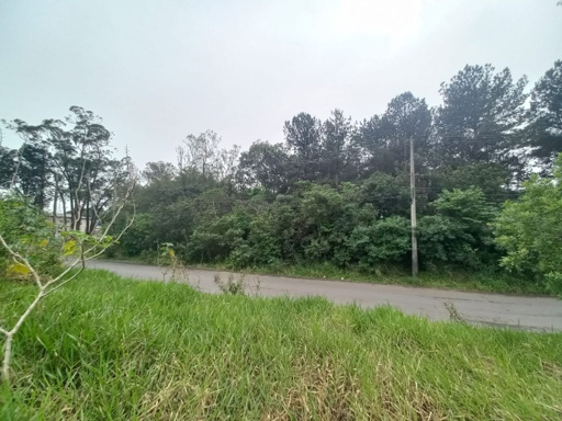 Foto cadastro cód. 49448