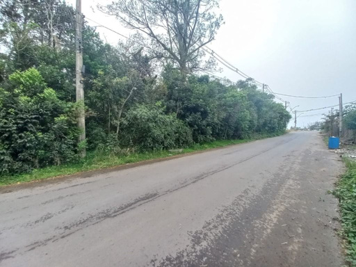 Foto cadastro cód. 49448