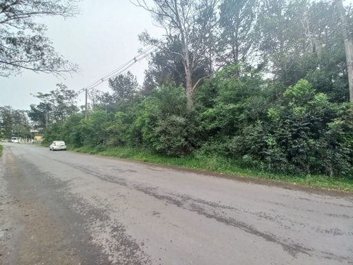 Foto cadastro cód. 49448