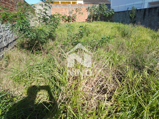 Foto cadastro cód. 49838