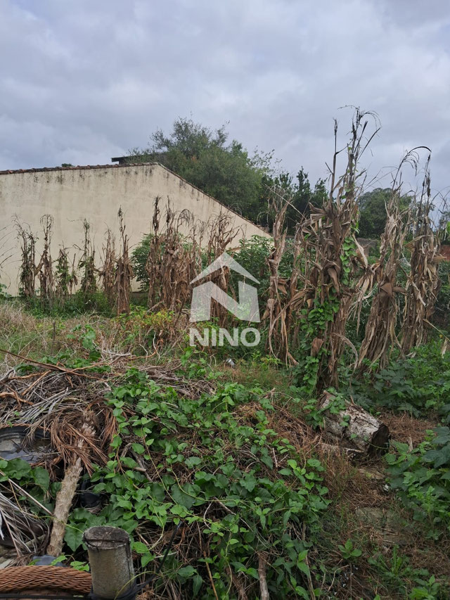 Foto cadastro cód. 49964