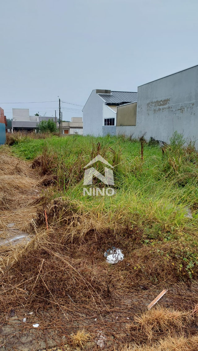 Foto cadastro cód. 50128