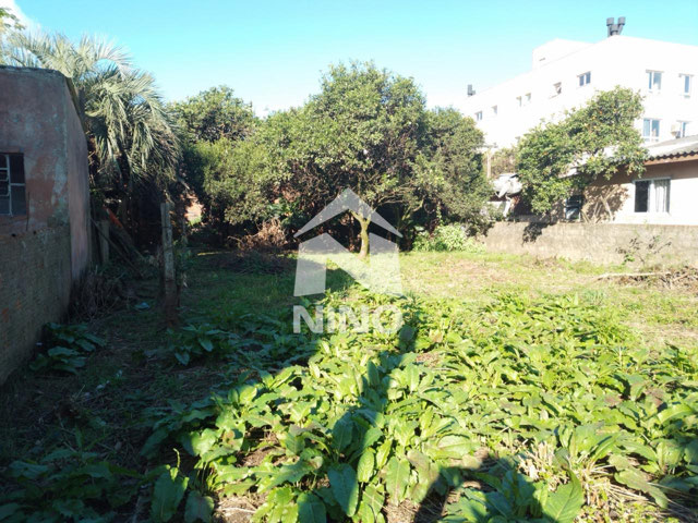 Foto cadastro cód. 50174