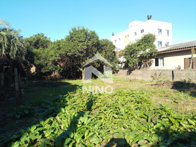 Foto cadastro cód. 50174