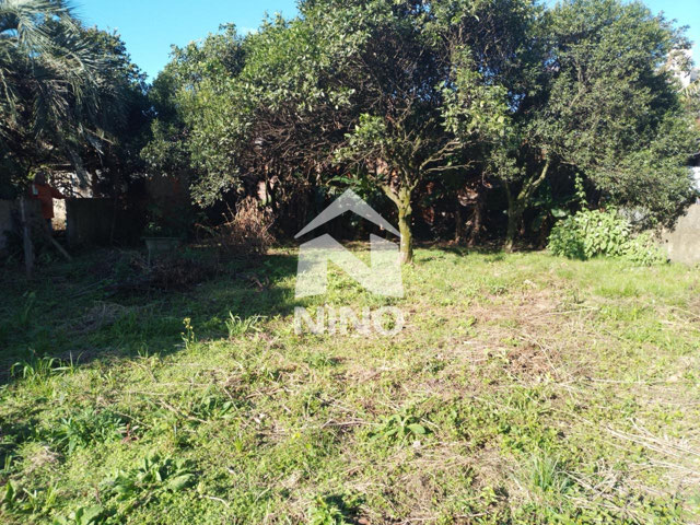 Foto cadastro cód. 50174