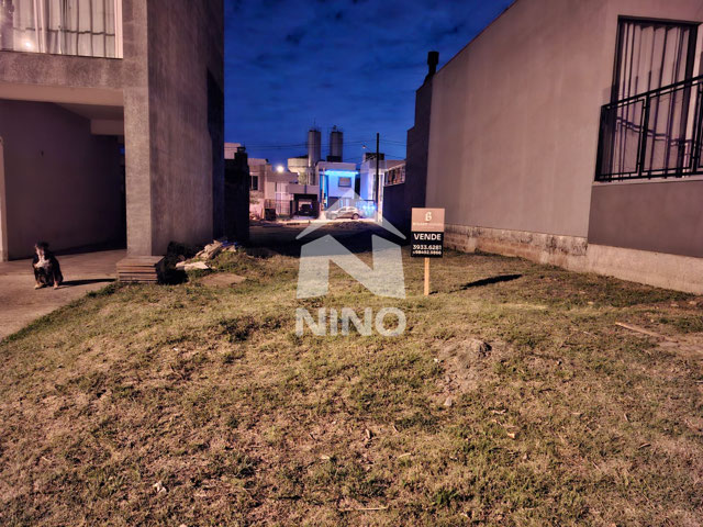 Foto cadastro cód. 50251