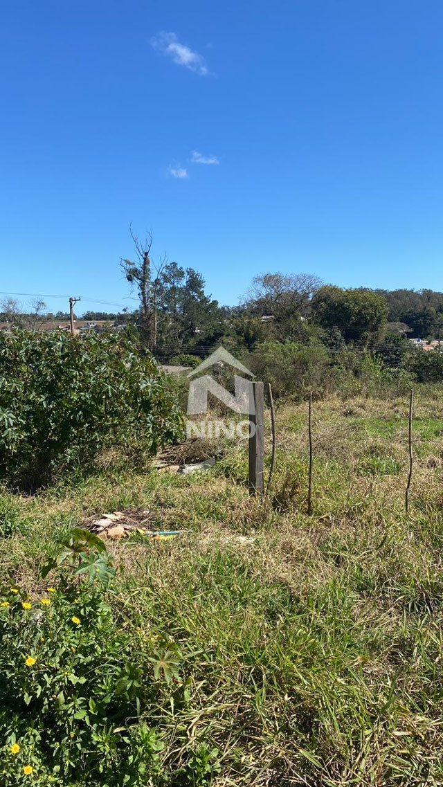 Foto cadastro cód. 50457