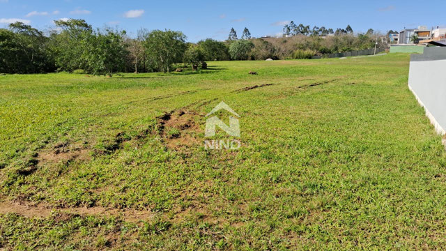 Foto cadastro cód. 50459