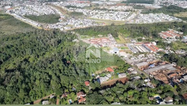 Foto cadastro cód. 50461