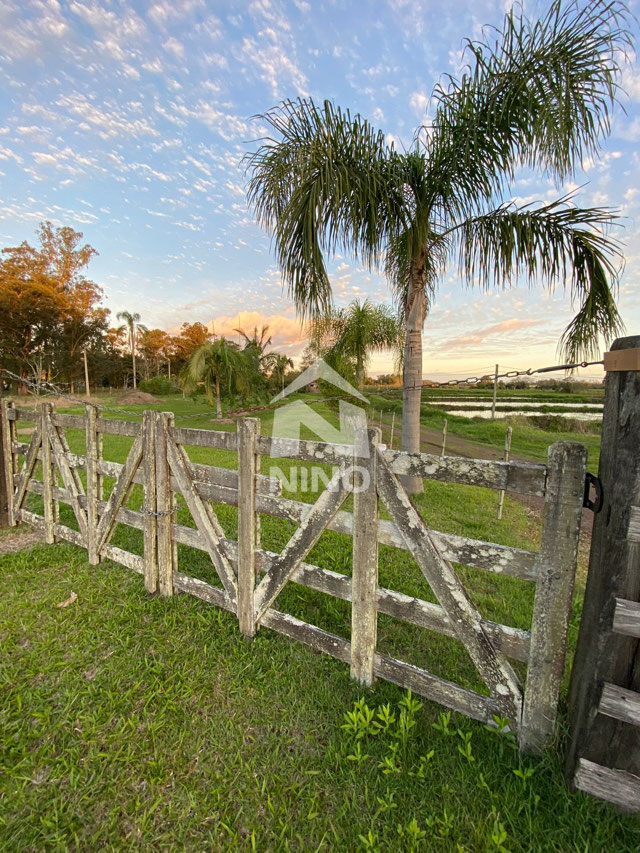 Foto cadastro cód. 50517