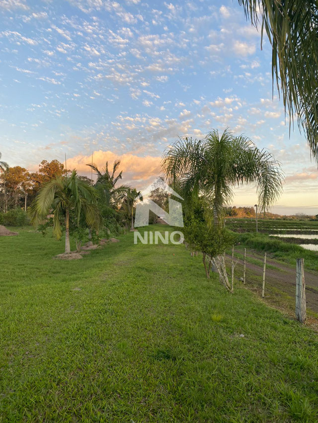 Foto cadastro cód. 50517