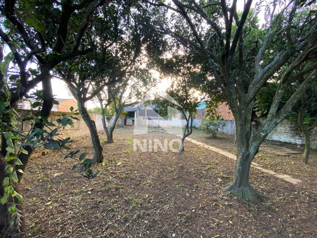 Foto cadastro cód. 50645