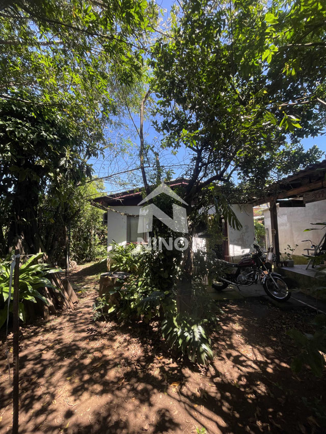 Foto cadastro cód. 50790