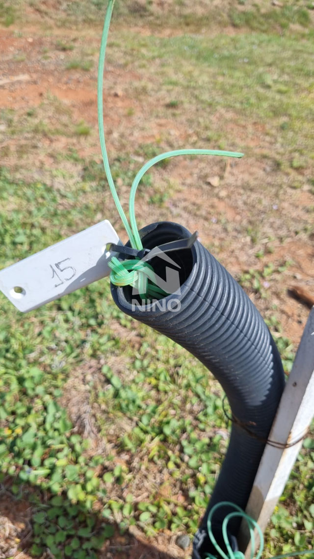 Foto cadastro cód. 50794