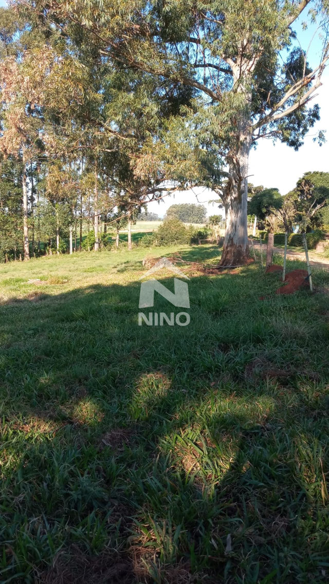 Foto cadastro cód. 51038