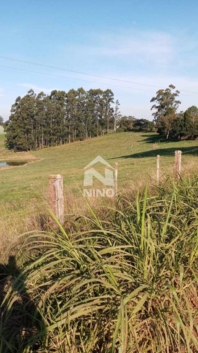 Foto cadastro cód. 51038