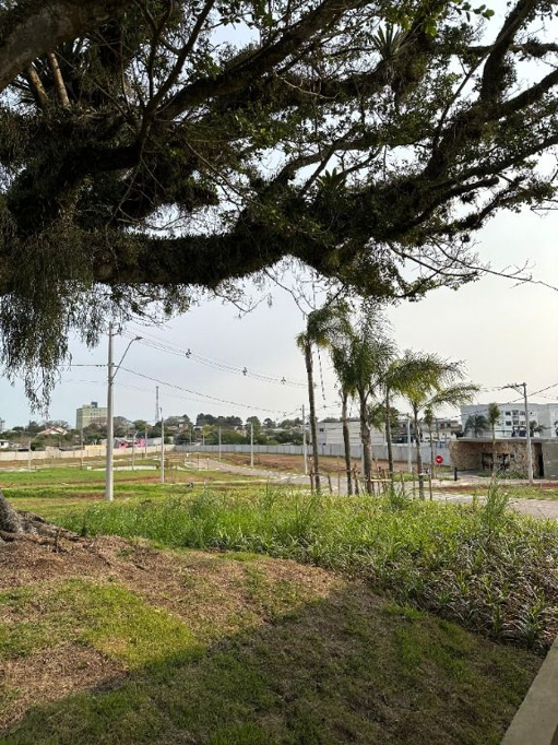 Foto cadastro cód. 51068