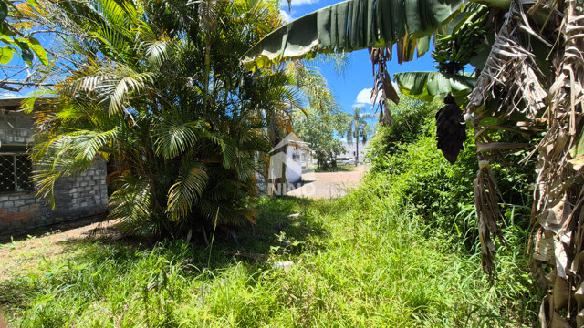 Foto cadastro cód. 51097