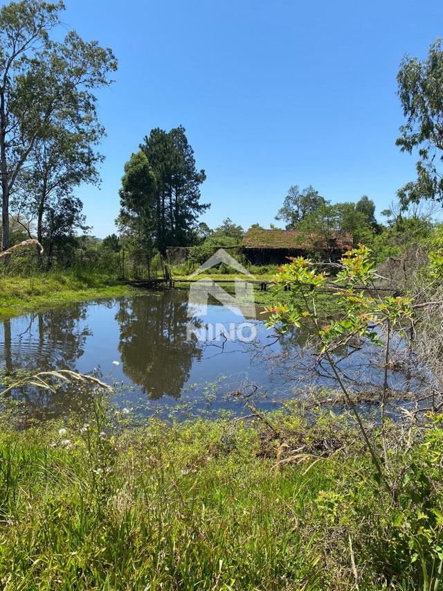 Foto cadastro cód. 51113