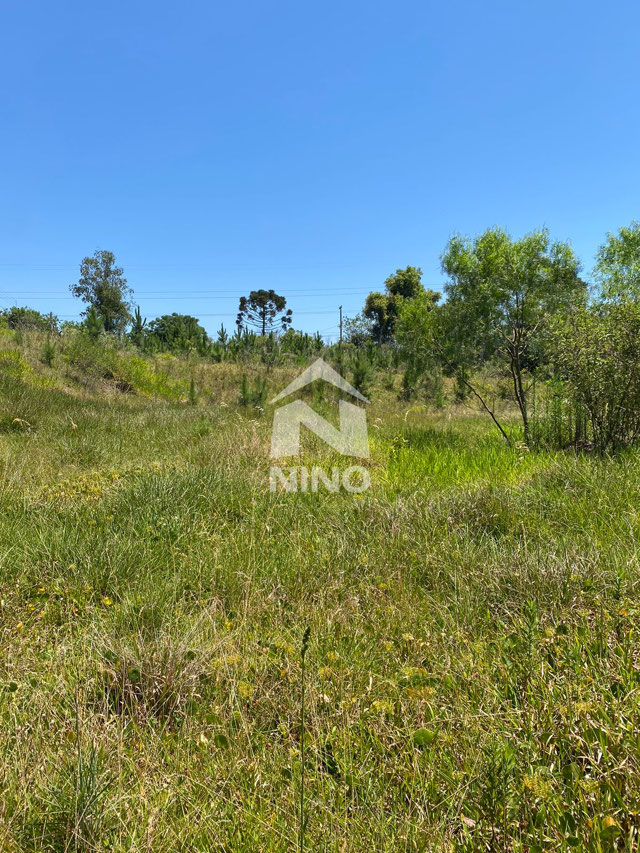 Foto cadastro cód. 51113