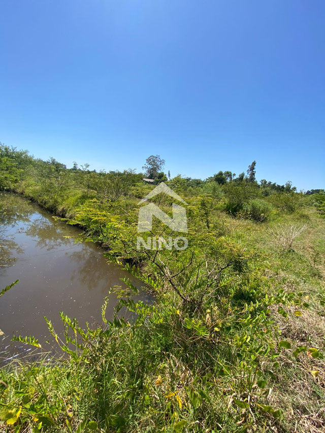 Foto cadastro cód. 51113