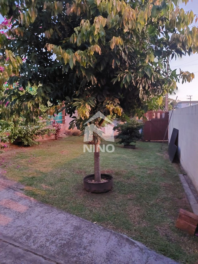 Foto cadastro cód. 51309