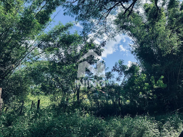 Foto cadastro cód. 51342