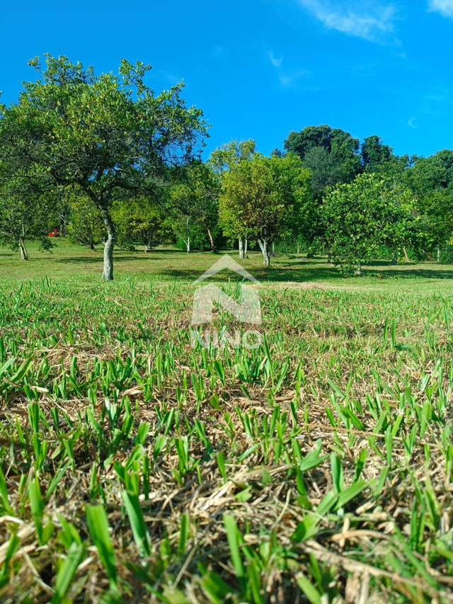 Foto cadastro cód. 51407