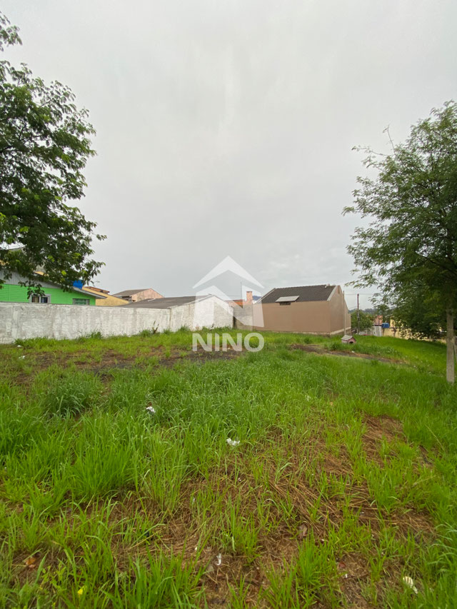 Foto cadastro cód. 51500