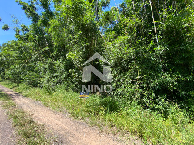 Foto cadastro cód. 51568