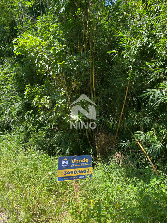 Foto cadastro cód. 51568