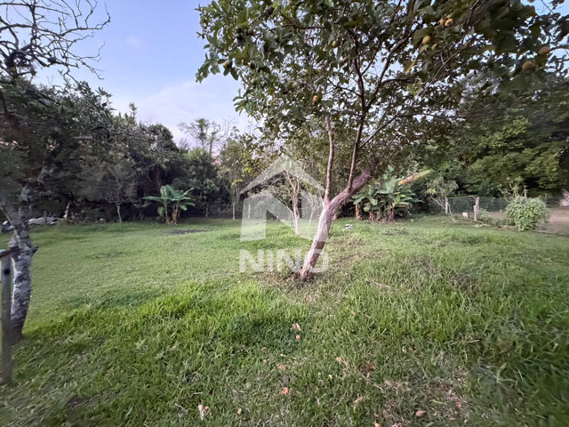 Foto cadastro cód. 51611