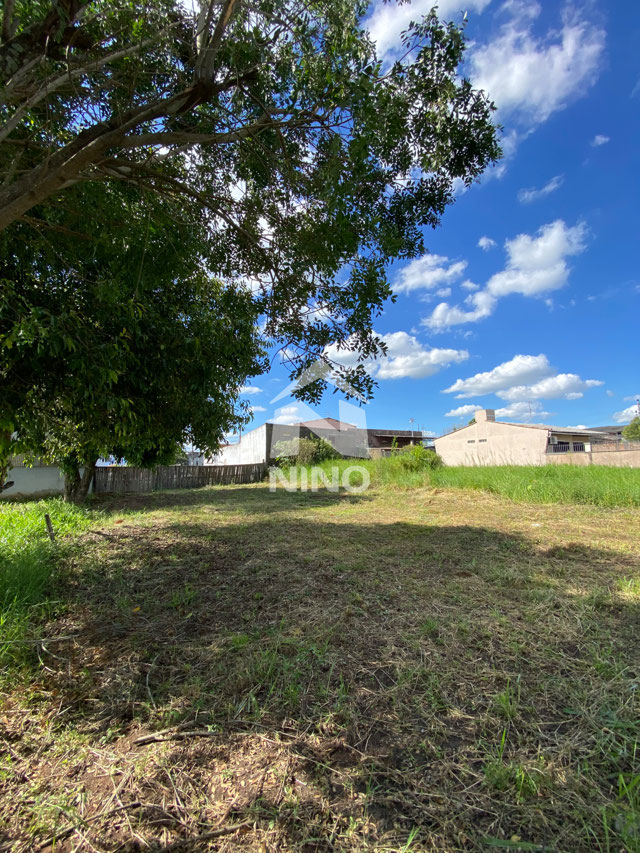 Foto cadastro cód. 51612