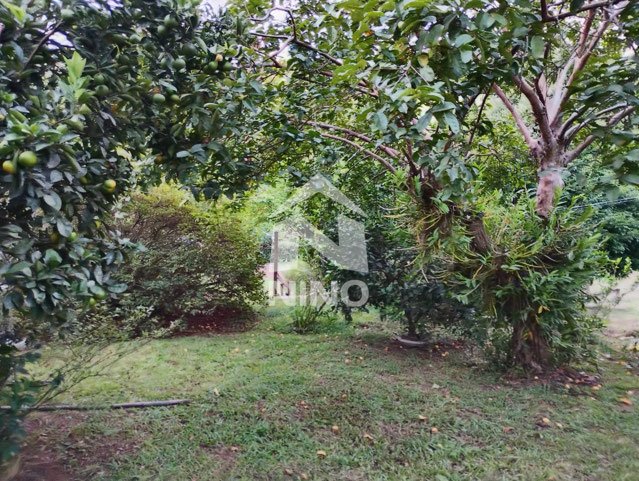 Foto cadastro cód. 51672