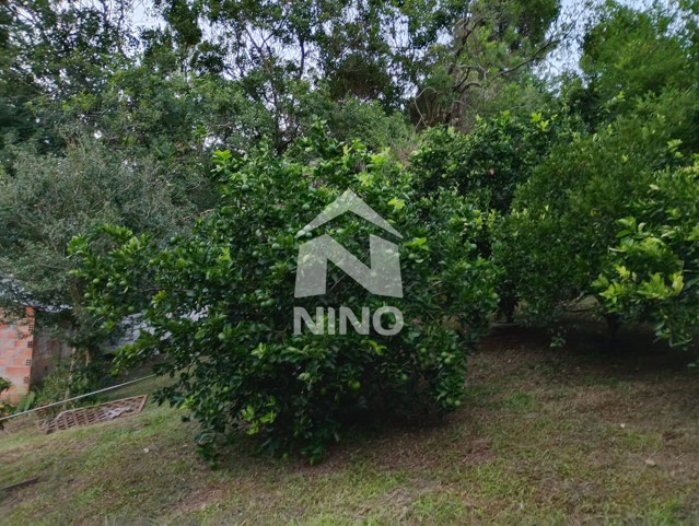 Foto cadastro cód. 51672